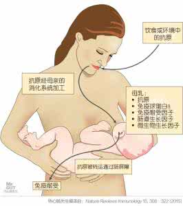微生物基础知识培训 79个超强微生物知识,全力助你孕育99分超优宝宝