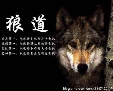 狐智鹰谋狼道 鹰谋 狐智 狼道 (三)