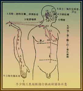 腿部经络不通怎么刮痧 经络不通怎么办 每周刮这里5分钟脏腑更通畅