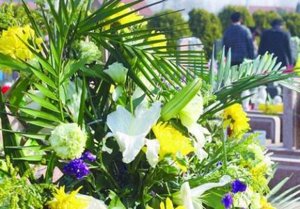 清明节诗词选 清明节应该选什么花?