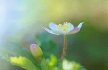 女人善待自己经典句子 善待自已...