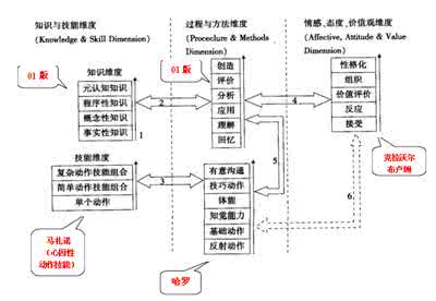 民事主体分类 主体教育开放分类：