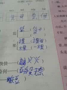 蝴怎么组词? 偏怎么组词？