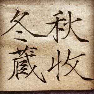 秋收冬藏 捻字为香，秋收冬藏