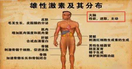 雄激素高的症状 雄激素高的症状 有这症状表示雄激素高