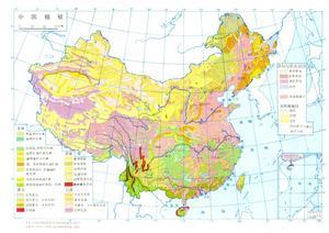 新疆生态与地理研究所 植物生态地理群