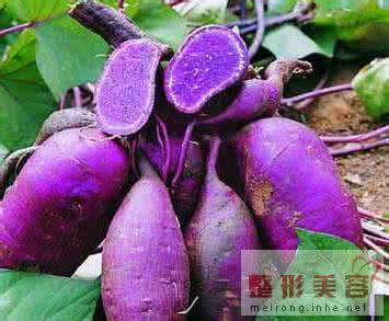 紫薯的功效与作用 紫薯的功效讲解 有利于减肥瘦身