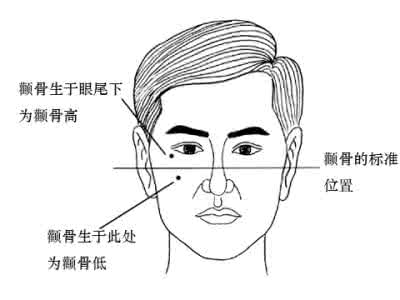 颧骨面相算命图解 颧骨面相算命图解 颧骨高的男人面相图解