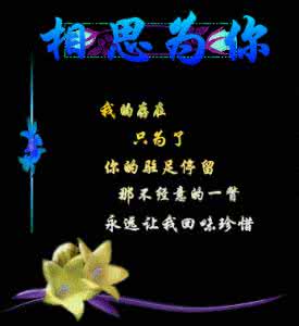 相思为你 图片 相思为你