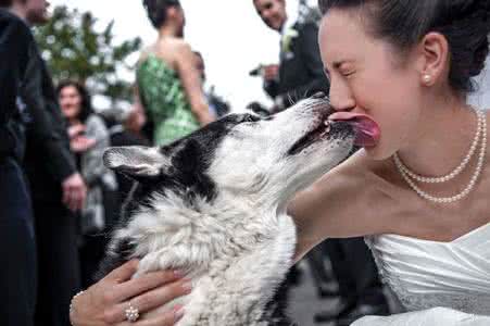 皇家爱情婚纱摄影 宠物系婚纱摄影 毛孩子见证爱情