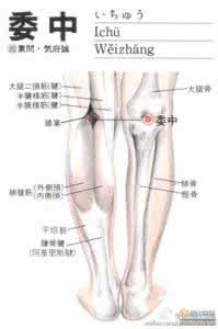 烧饼歌全文带图详解 78四总穴歌详解