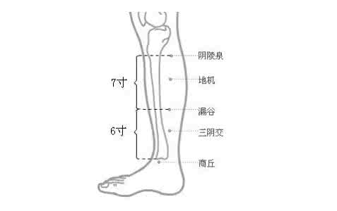 打呼噜最佳治疗偏方 治疗打呼噜的穴位 5个穴位治疗打呼噜