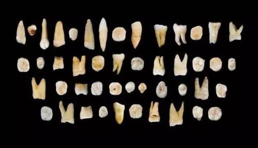 人类起源 中国改写人类起源说：北京人的血液还在你我体内流淌？