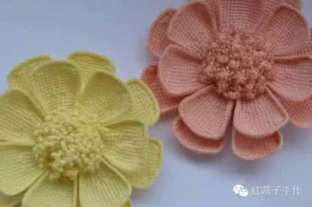 爱尔兰 爱尔兰花卉