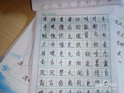 一手漂亮的钢笔字 一手漂亮的钢笔字 学好它,你也可以写一手漂亮的钢笔字!