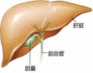 入职体检查出有胆结石 体检查出胆结石怎么办？——胆囊十问