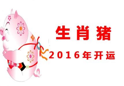 属猪人2017年运势运程 2016年属猪人每月运势 属猪人的2016年运程