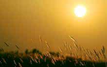 人这一辈子图个啥 人这一辈子 人这一辈子作品赏析