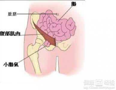 腹股沟潮湿瘙痒 腹股沟痒 腹股沟瘙痒