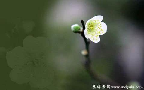 瑜伽美文经典语录 2012最新美文美句经典语录