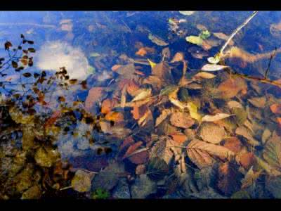 心情图文 坐在秋天的深处（心情图文）