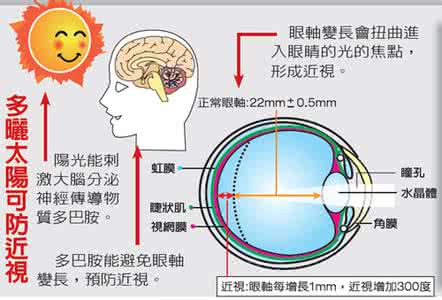 院感持续改进原因分析 读书的迷思：读书的原因、问题、改进