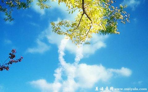 温暖心灵的情感美文 爱无垠，情无涯【情感美文】