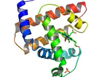 甲胎蛋白超多少算癌症 甲胎蛋白超多少算癌症 阻断关键信号蛋白或可有帮助有效抵御癌症