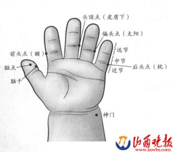 捏捏小手百病消 《捏捏小手百病消》节选(七):压揉脑穴的作用(图)
