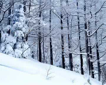 老虎证券 易的全方位 全方位进行冬季养生