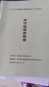 可行性研究报告范文 项目可行性研究报告 项目可行性研究报告范文