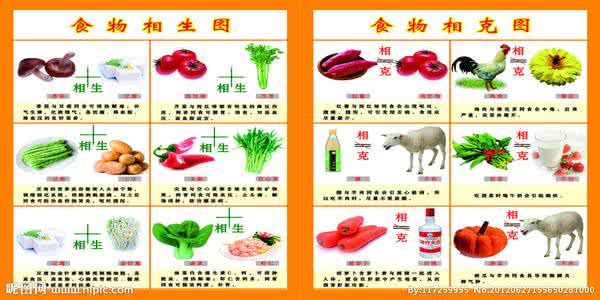 食物相克与饮食禁忌 食物相克与饮食禁忌 鸡蛋怎么吃最有营养?与鸡蛋相克食物大全禁忌