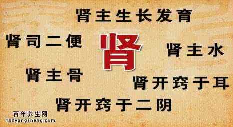肾阴虚 肾阳虚 肾气虚 养生堂20150708视频:郝万山,肾气虚,肾阴虚,肾阳虚(重播)