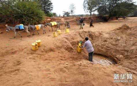 非洲干旱的图片 触目惊心的非洲干旱和饥荒