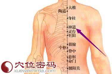 极泉 心脏病穴【至阳少海通里神道极泉】