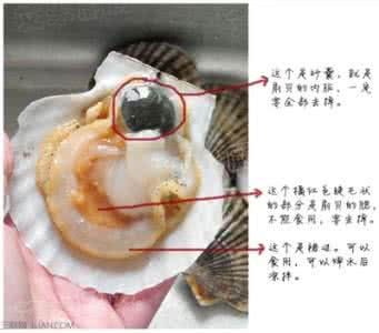 孕妇不能吃哪些肉类 肉类的哪些部位不能吃