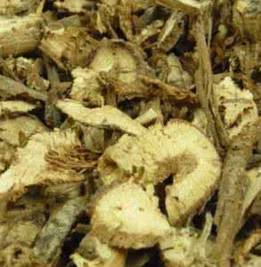 安胎中药有哪些 安胎中药 哪些中药可以安胎