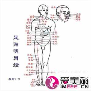 艾灸治病配穴一览表（附全身穴位图），终于找到了！一定要收藏！