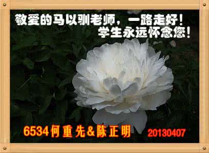 深切哀悼 【清明雨】—深切哀悼马以驯老师/诗词：6534何重先   编辑制作：陈正明