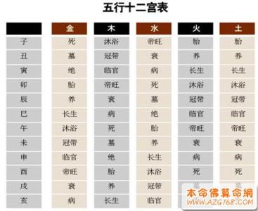 五行和十神长生十二宫 十二长生表（图）详解，五行十二宫运程表解读