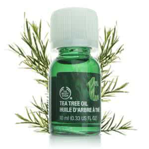 thebodyshop茶树精油 body shop 茶树精油 the body shop茶树精油的正确使用方法