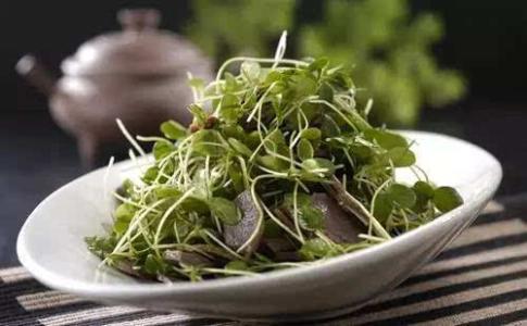 哪些食物发芽了不能吃 都说发芽后的东西不能吃，这些食物发了芽营养会翻倍，你知道吗？