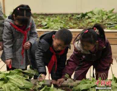 迪拜土豪炫富吸人奶 村里土豪自建房炫富 看到这套脸红了