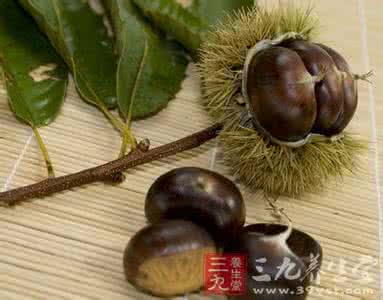 补肾强腰胶囊 食疗方：栗子补肾强腰