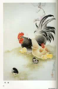 工笔画鸡 中国工笔画鸡 工笔画鸡