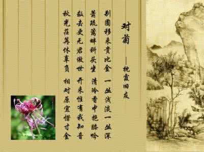 红楼梦菊花诗 红楼梦菊花诗 ?红楼梦残,十二菊花诗香,片语诉尽人世悲欢