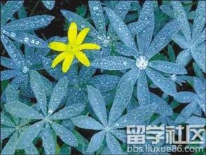 2014祝福短信大全 白露祝福短信大全