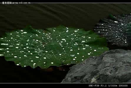 大珠小珠落玉盘 寻寻觅觅“叠字诗”，大珠小珠落玉盘*