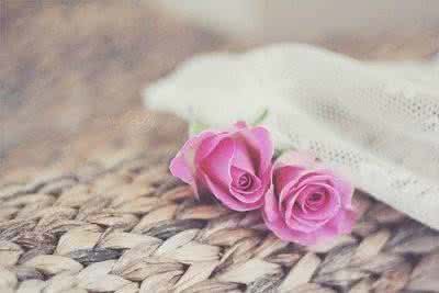 珍惜时间的散文 珍惜时间的散文 感情，重在懂心；爱情，贵在珍惜散文欣赏