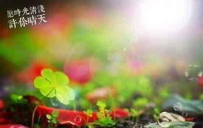 早安问候语简短一句话 早上好问候语